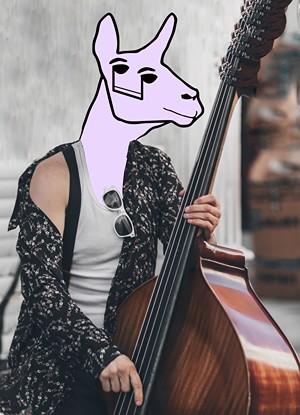 A cool llama holding the upright bass.