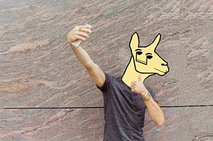A cyborg llama taking a selfie