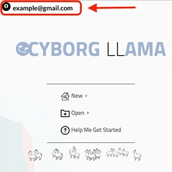 Screenshot showing where your username is displayed in the Cyborg Llama app